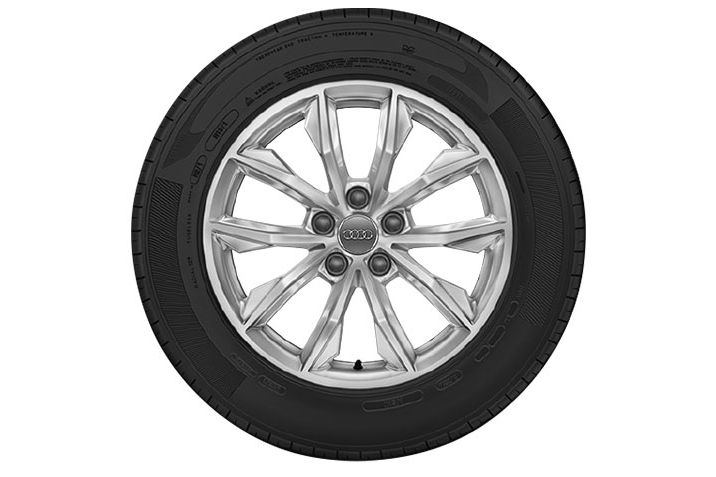 Audi Q5 10 Speichen Design Winterkomplettrad