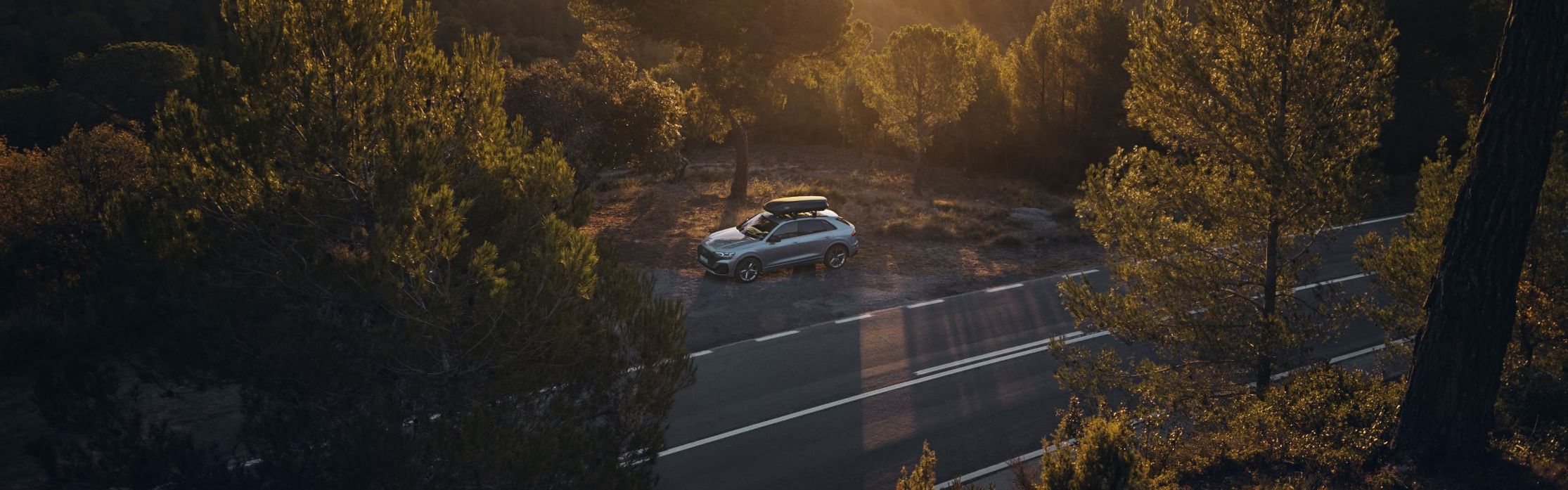 Ein Audi Q8 mit Transportbox auf dem Dach parkt bei Sonnenuntergang neben einem Wald.