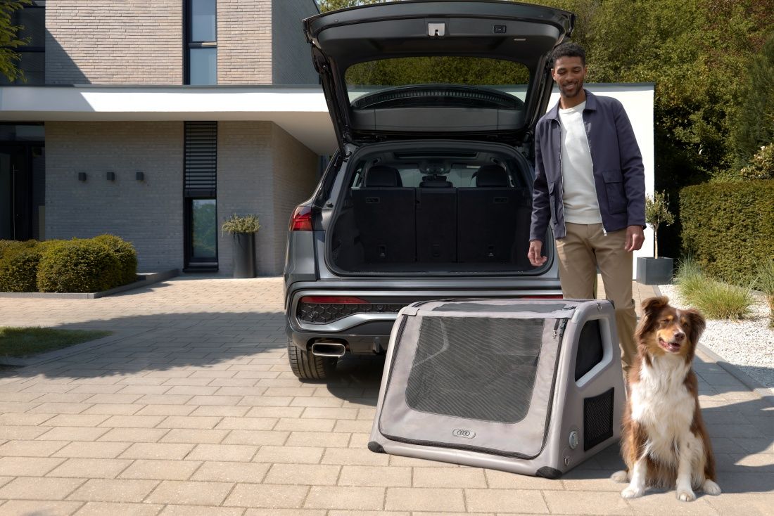 Sitzender Australian Shepherd neben der Audi Hundebox neben seinem lächelnden Herrchen vor dem geöffneten Kofferraum eines Audi Q5