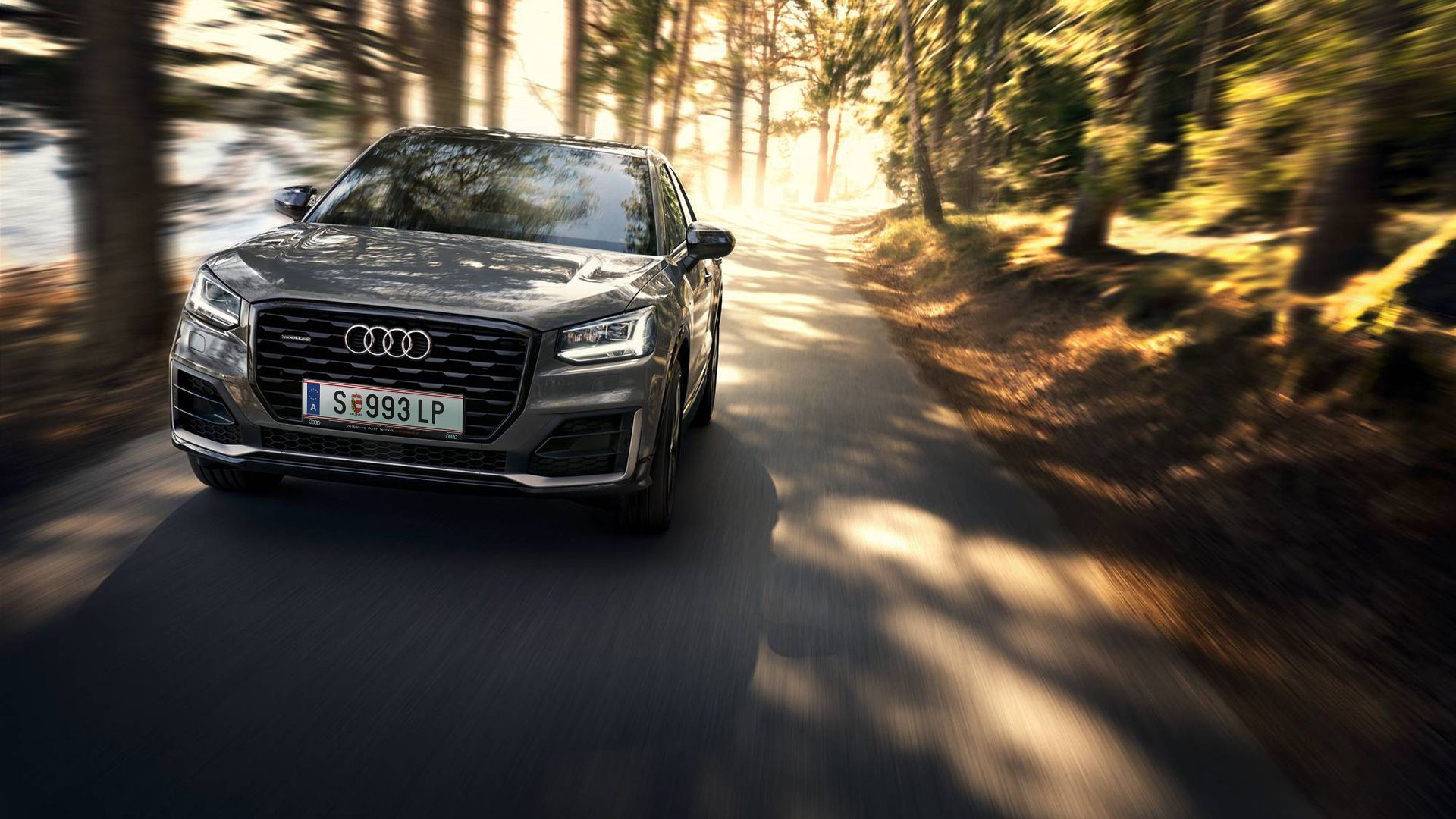 Ein Audi fährt auf einer Waldstraße